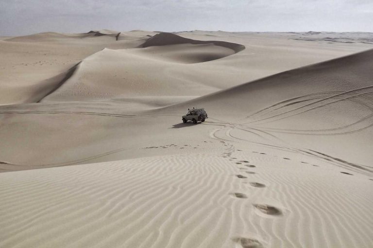 Alu-Portalkran 1.000 kg
